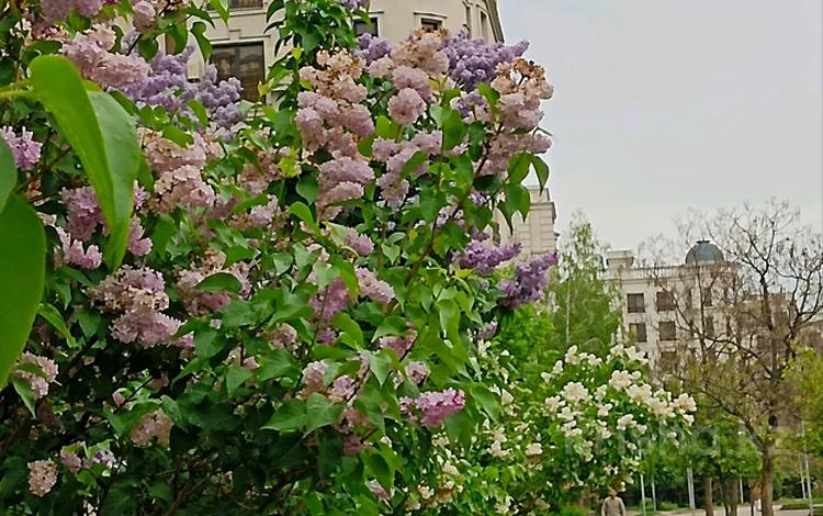 3-комнатная квартира · 132 м² · 1/6 этаж, мкр Мирас, Мкр. Мирас — !! Потолок 3,4 метра!!! Школа Бобек, и школа для одаренных за 135 млн ₸ в Алматы, Бостандыкский р-н — фото 38