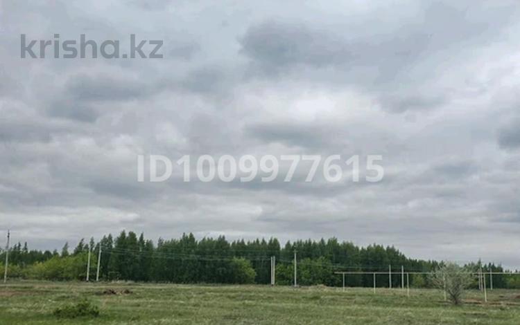 Жер телімі · 10 сотық, 0088, бағасы: 15 млн ₸ в Аккайын — фото 5