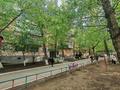 2-бөлмелі пәтер · 44.3 м² · 5/5 қабат, Киевская 18, бағасы: ~ 16 млн ₸ в Костанайской обл. — фото 9