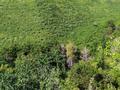 Участок · 300 соток, Шоссеная 8 за 58 млн ₸ в Алматинской обл., Талгарский р-н — фото 21