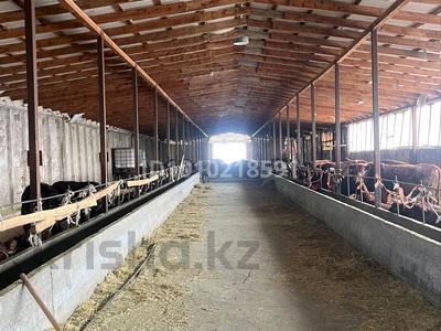 Крестьянское хозяйство полного цикла · 10000 м² за 290 млн ₸ в Жаркенте