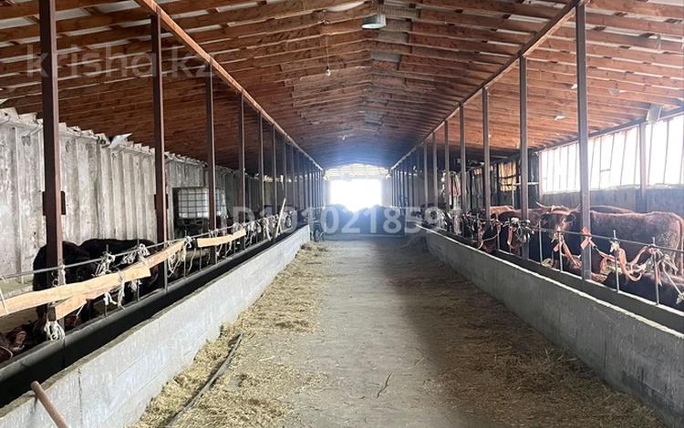 Крестьянское хозяйство полного цикла · 10000 м² за 290 млн ₸ в Жаркенте — фото 2
