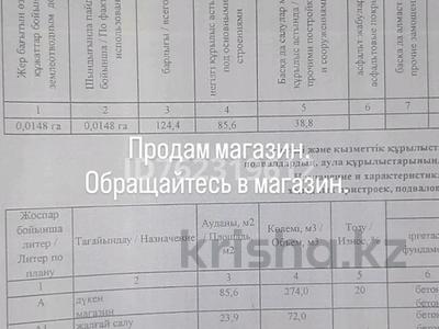 Еркін, кеңселер, дүкендер мен бутиктер, қоғамдық тамақтану орны, сұлулық салондары, медорталықтар мен дәріханалар, білім орталықтары, ойын-сауық · 124 м², бағасы: 42 млн ₸ в Сатпаев