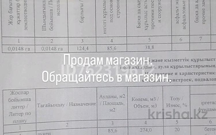 Еркін, кеңселер, дүкендер мен бутиктер, қоғамдық тамақтану орны, сұлулық салондары, медорталықтар мен дәріханалар, білім орталықтары, ойын-сауық · 124 м², бағасы: 42 млн ₸ в Сатпаев — фото 3