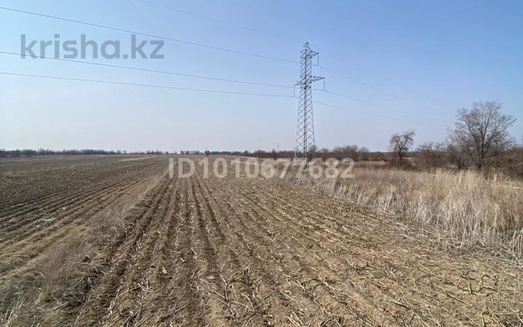Жер телімі · 30 га, Алатау, бағасы: 10 млн ₸ — фото 2