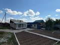 Отдельный дом · 4 комнаты · 100 м² · 12 сот., Мичурина 37 — Громова за 25 млн ₸ в Семее, Красный Кордон — фото 3