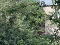Участок · 6 соток, мкр Таусамалы за 7 млн ₸ в Алматы, Наурызбайский р-н