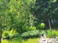 Дача · 5 комнат · 100 м² · 10 сот., Рябиновая 106 — Усть-Каменогорское водохранилище за 8.8 млн 〒 — фото 23