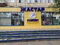 2-бөлмелі пәтер · 44 м² · 2/5 қабат, Потанина 27, бағасы: 15.5 млн ₸ в Усть-Каменогорске — фото 42