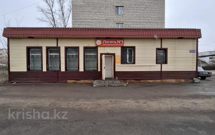 Общепит · 172 м² за 38 млн ₸ в Экибастузе — фото 23