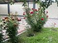 Отдельный дом · 4 комнаты · 138 м² · 5 сот., Жылқыбай 18 "А" — Недалеко от Талгарской трассы за 75 млн ₸ в Туздыбастау (Калинино) — фото 19