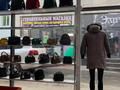 Магазины и бутики • 430 м² за ~ 1.2 млн 〒 в Алматы, Наурызбайский р-н — фото 4