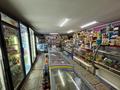 Магазины и бутики · 250 м² за 110 млн 〒 в Семее — фото 17