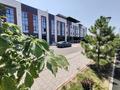 5-бөлмелі пәтер · 357 м² · 1/3 қабат, улица 4-ая 2, бағасы: 225 млн ₸ в Алматы, Медеуский р-н — фото 12