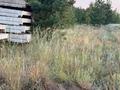 Участок · 10.5 соток, Трасса Аулеколь - Сурган за 11 млн ₸ в Мичуринское — фото 4