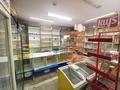 Магазины и бутики • 64.4 м² за 30 млн 〒 в Семее — фото 7