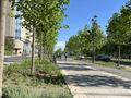 2-бөлмелі пәтер · 91 м² · 5/12 қабат, Мәңгілік Ел 21, бағасы: 65 млн ₸ в Астане, Есильский р-н — фото 24