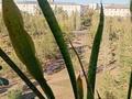1-комнатная квартира · 35 м² · 5/9 этаж, Назарбаева 45 за 150 000 ₸ в Караганде, Казыбек би р-н — фото 8