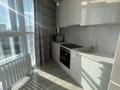 1-бөлмелі пәтер · 47 м², Чингиз Айтматов — Сыганк-Айтматова, бағасы: 250 000 ₸ в Астане, Нура р-н — фото 4