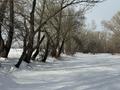 Участок · 10 соток, Бобровка 4433 — Озеро Линьковое за 3.2 млн ₸ в Семее — фото 11
