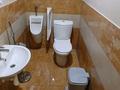 Дом · 2 комнаты · 25 м², мкр Каменское плато, Алмалыкская 52 — В районе горного отеля Айна-Булак за 60 000 〒 в Алматы, Медеуский р-н — фото 7