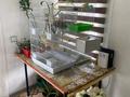 Отдельный дом · 2 комнаты · 70 м² · 10 сот., Жибек жолы — Иса тойхана. школа М.Абеновой. баня жибек жолы за 17.5 млн ₸ в Туркестане — фото 28