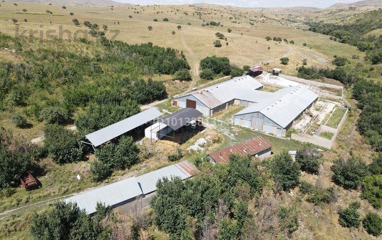 Ферма Тюлькубасский район Даубаба с. · 3500 м² за 300 млн ₸ — фото 2