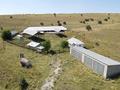 Ферма Тюлькубасский район Даубаба с. · 3500 м² за 300 млн ₸ — фото 17