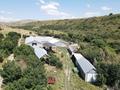 Ферма Тюлькубасский район Даубаба с. · 3500 м² за 300 млн ₸ — фото 6