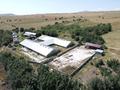 Ферма Тюлькубасский район Даубаба с. · 3500 м² за 300 млн ₸ — фото 2