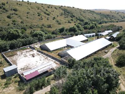 Ферма Тюлькубасский район Даубаба с. · 3500 м² за 300 млн ₸