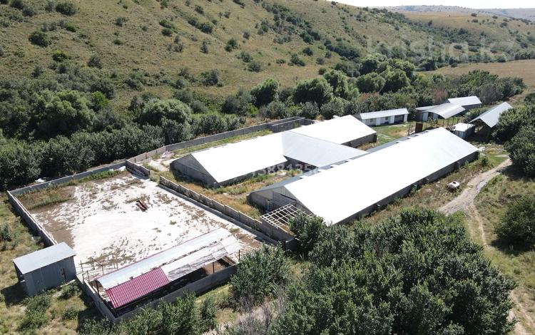 Ферма Тюлькубасский район Даубаба с. · 3500 м² за 300 млн ₸ — фото 7
