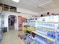 Магазины и бутики • 78.5 м² за 19.5 млн 〒 в Астане — фото 13
