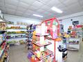 Магазины и бутики • 78.5 м² за 19.5 млн 〒 в Астане — фото 6