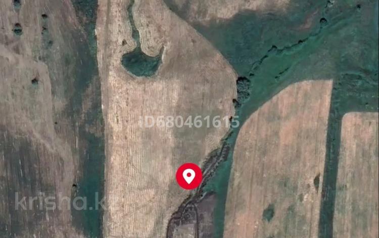 Жер телімі · 3.5 га, Қайрат, бағасы: 65 млн ₸ в Алматинской обл., Кайрат — фото 2