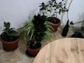 2-комнатная квартира · 59.7 м² · 8/9 этаж, Сатпаева — Кафе Сәлем Голд. Гостиница Пекин за 27 млн ₸ в Атырау — фото 25
