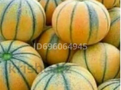 Отдельный дом · 4 комнаты · 35 м² · 60 сот., Бумажник за 15 млн 〒 в 