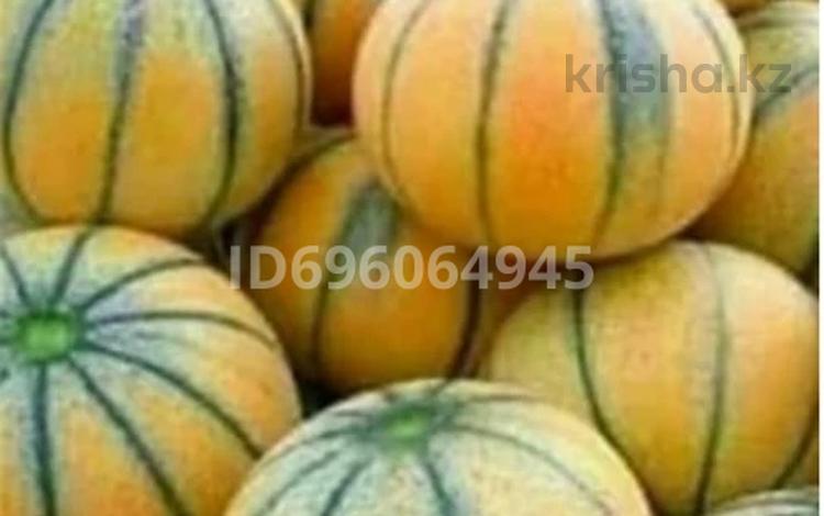 Жеке үй · 4 бөлме · 35 м² · 60 сот., Бумажник, бағасы: 15 млн 〒 в  — фото 2