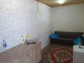 Жеке үй · 4 бөлме · 35 м² · 60 сот., Бумажник, бағасы: 15 млн 〒 в  — фото 23