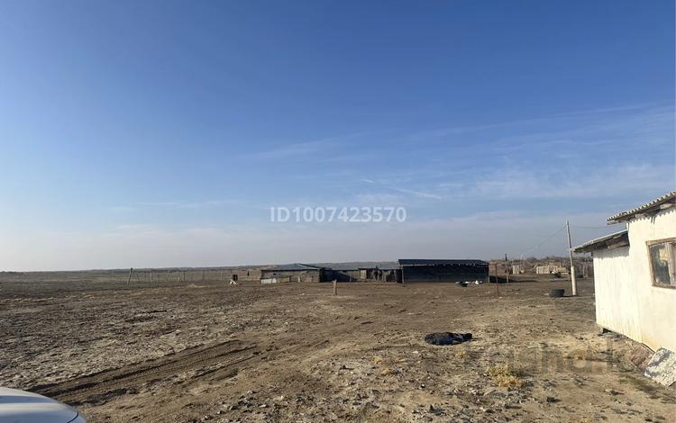 Сельское хозяйство · 110000 м² за 30 млн ₸ в Акши — фото 2