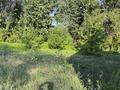 Жеке үй · 3 бөлме · 80 м² · 6 жүзд., Тауелсіздік 213, бағасы: 8 млн ₸ в Сарканде — фото 11