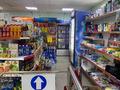 Магазин мини-маркет · 170 м², бағасы: 63 млн ₸ в Рудном — фото 3