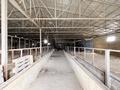 Свободное назначение, склады, сельское хозяйство • 700 м² за 80 млн 〒 в Талдыкоргане — фото 19
