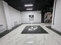 Свободное назначение, офисы, магазины и бутики, склады, салоны красоты, развлечения · 280 м² за 60 млн ₸ в Астане, Алматы р-н — фото 2