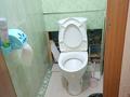 2-бөлмелі пәтер · 50 м² · 4/5 қабат, Свободы 5, бағасы: 14 млн ₸ в Усть-Каменогорске — фото 9