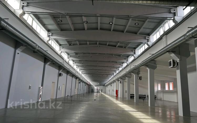 Свободное назначение · 1500 м² за 7.5 млн 〒 в Усть-Каменогорске — фото 18