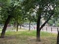 1-бөлмелі пәтер · 40 м², Кожамкулова 117, бағасы: 300 000 ₸ в Алматы, Алмалинский р-н — фото 9