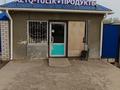 Отдельный дом · 5 комнат · 200 м² · 5 сот., мкр. Зачаганск пгт, Зачаганск пгт ш/а. Гринько 31А — Цветочная за 85 млн ₸ в Уральске — фото 22
