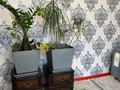 Жеке үй · 8 бөлме · 460.7 м² · 9 жүзд., Кошкинбаева 9 — 24 часа, бағасы: 40 млн ₸ в Атакенте — фото 40