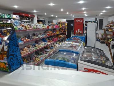 Магазины и бутики · 300 м² за 25 млн ₸ в Железинке
